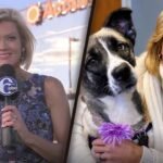 Cecily Tynan