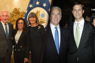 Seryl Kushner